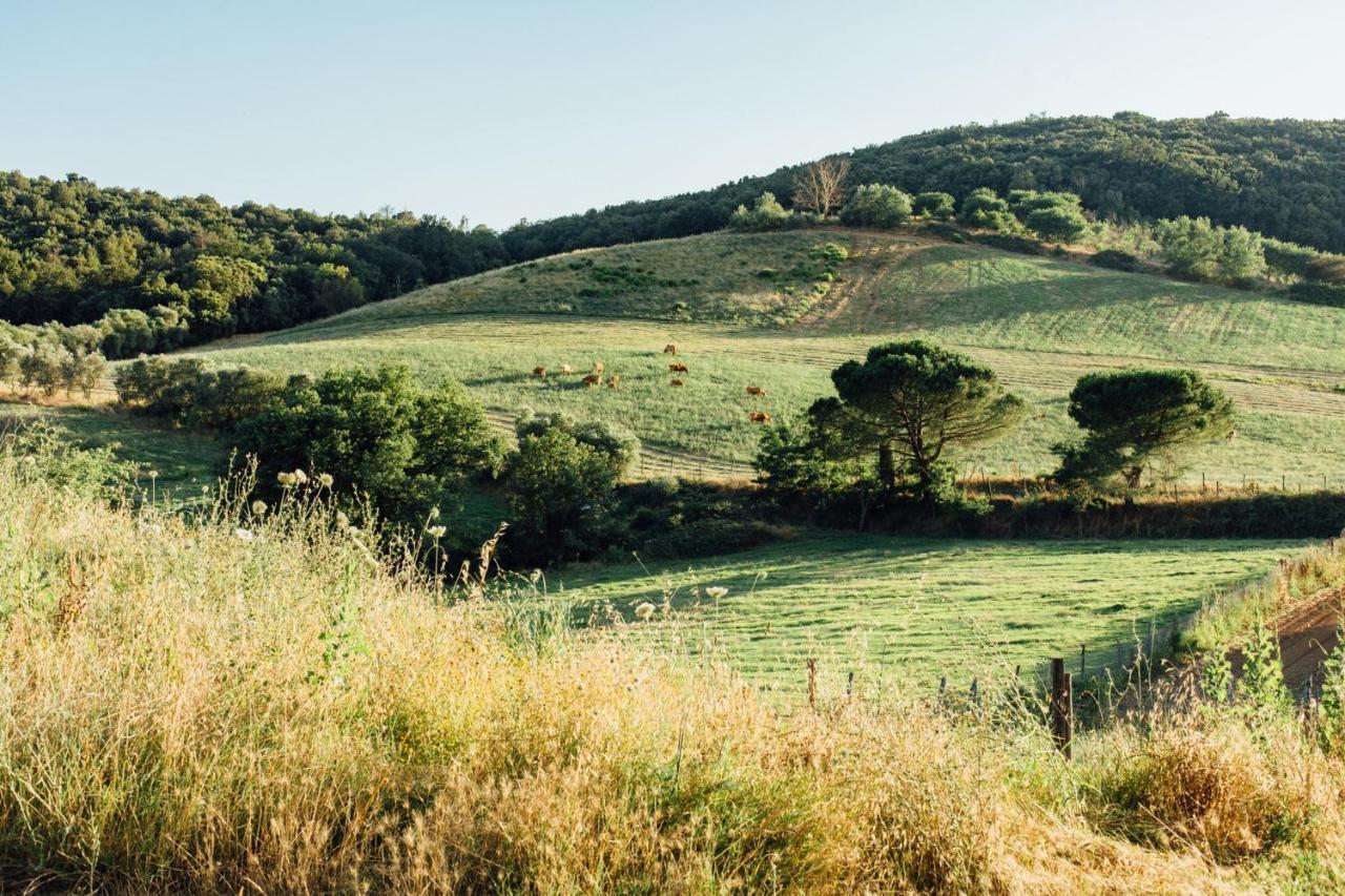 Vila Fontemarinaalta Montorsaio Exteriér fotografie